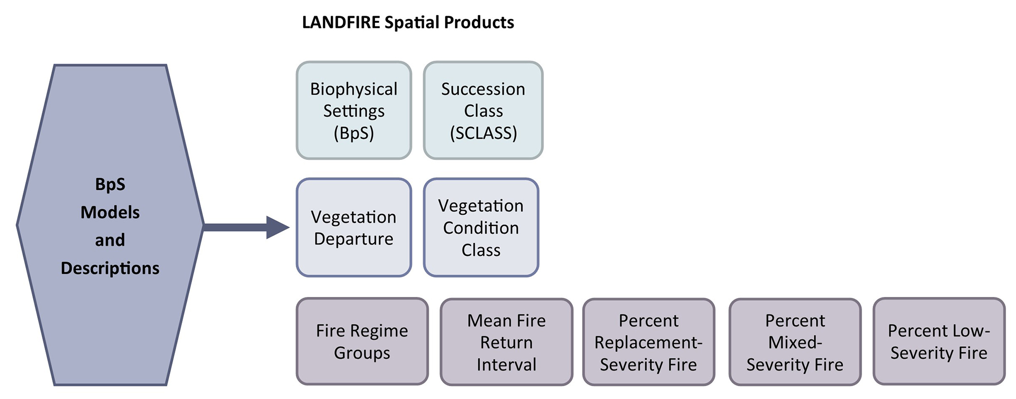 BpS models and descriptions contribute to BpS, succession class, vegetation departure, vegetation condition class, and fire regime products