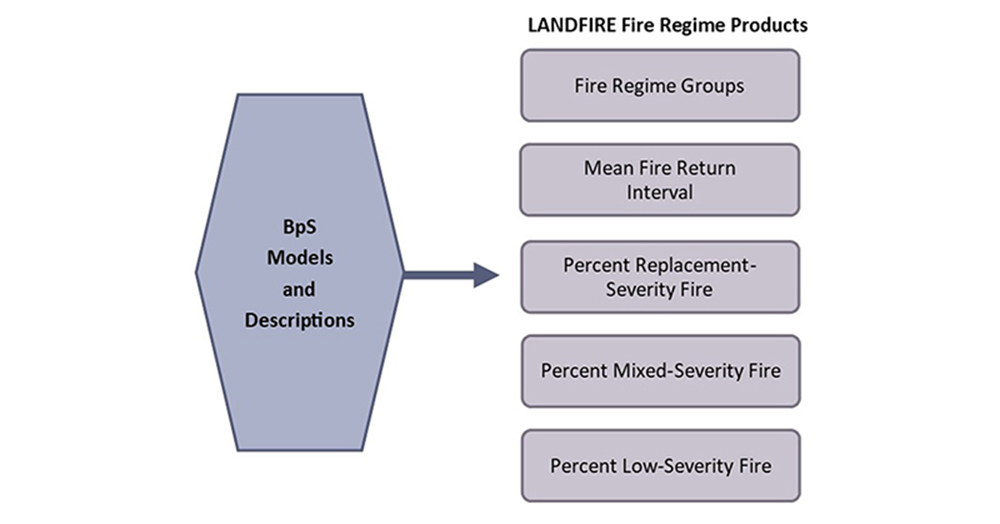 BpS models and descriptions contribute to Fire Regime Groups, Fire Return Interval, and Fire Severity.