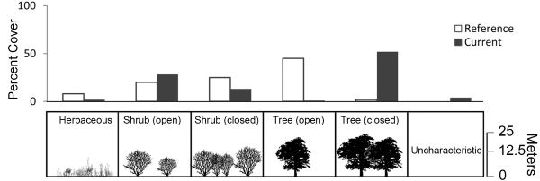 Successional stages from Herbaceous to Shrub (open) to Shrub (closed) to Tree (open) to Tree (closed) to uncharacteristic. In Herbaceous, reference is higher than current. In Shrub (open), reference is slightly lower than current. In Shrub (closed) current is about half of reference. In Tree (Open), Reference makes up the strong majority of the cover while there is almost none in the Current class. In Tree (closed) it is the opposite--current percentage is high while reference is very low. In uncharacteristic we have no reference amount and a slight amount in current.
