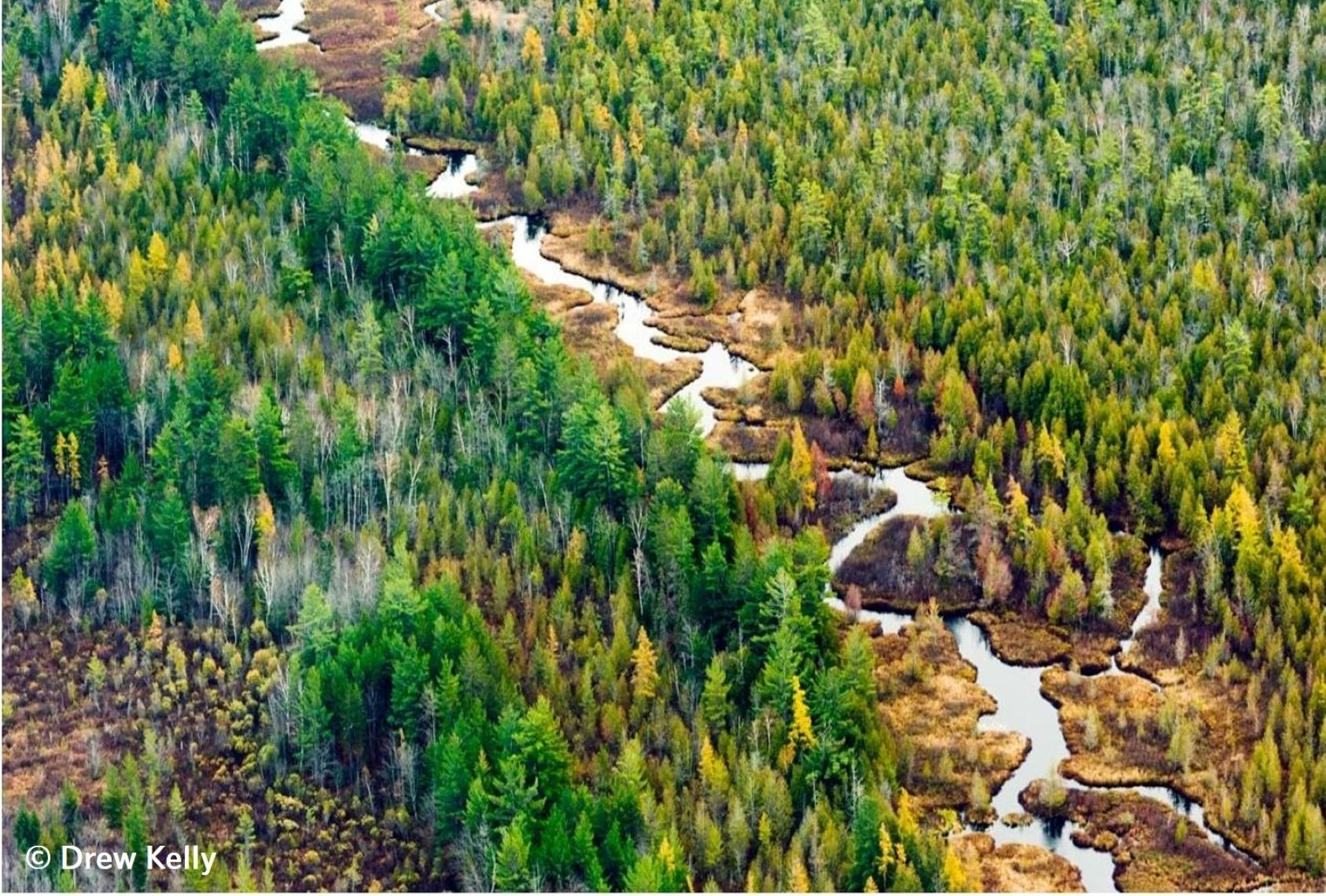 Aerial photo of a river running through a forested landscape. Image copyright Drew Kelly.